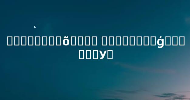 ���ֺϻ���õ���� �������ϵ